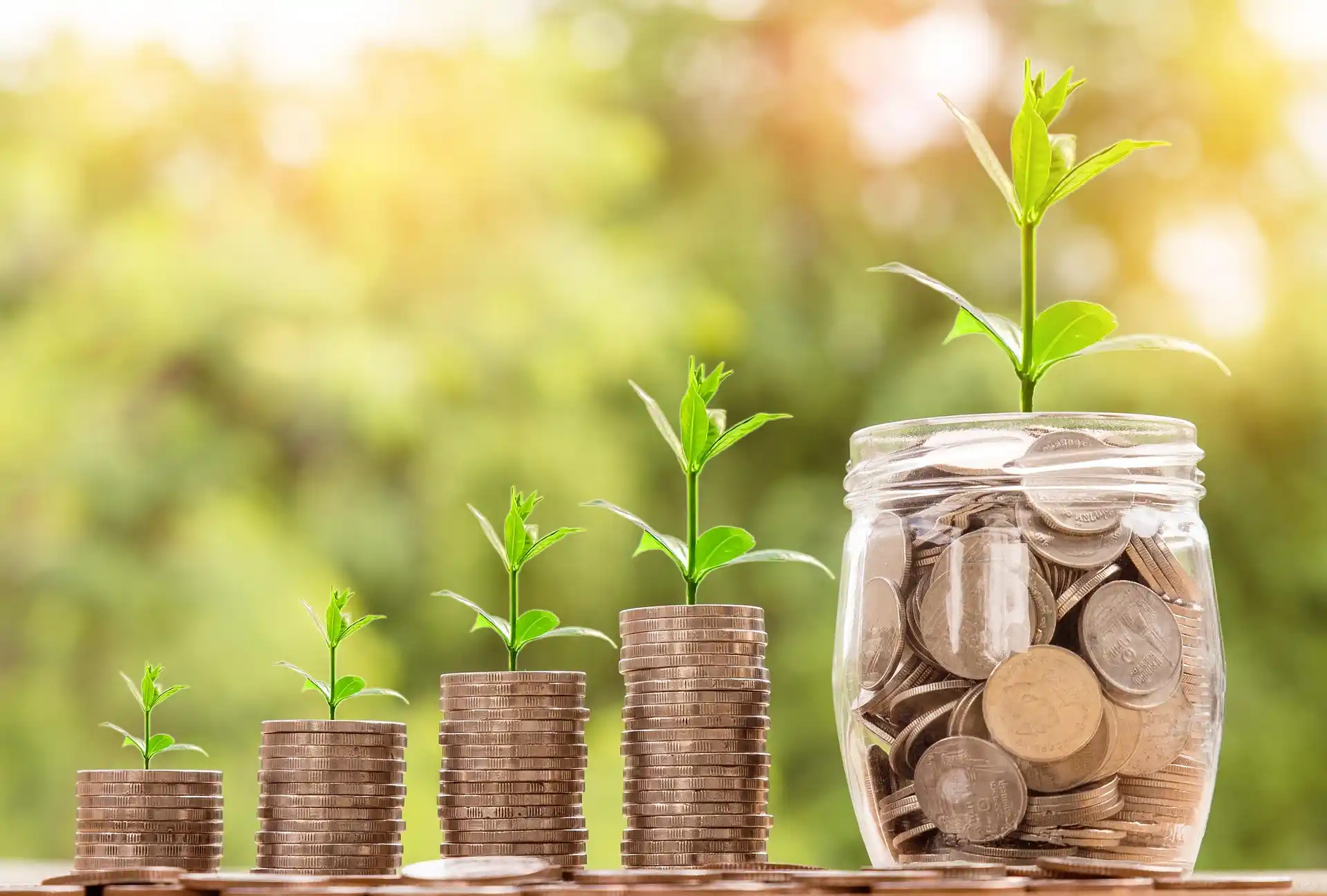 Épargne et investissement représentés par une croissance progressive du capital